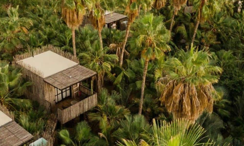 Tree houses in mexican jungle - Acre resorts 