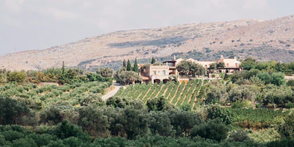 Agreco Farm wedding greece 