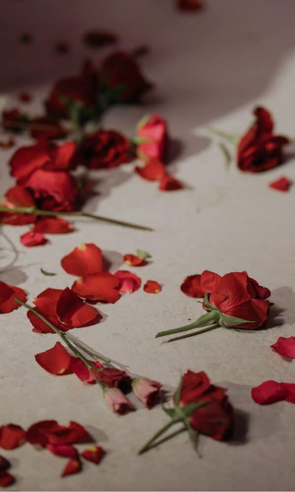 red roses confetti 