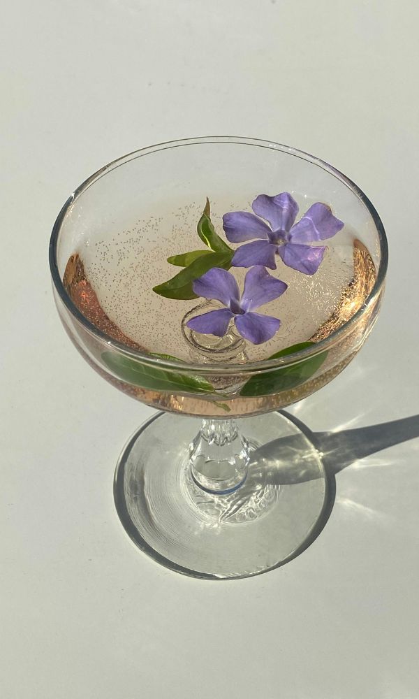 edible flowers drink 