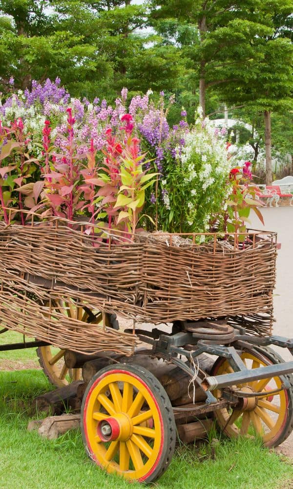 flower wagon 