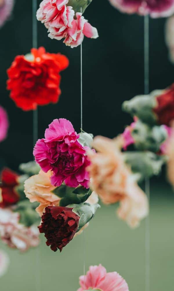 hanging flowers 