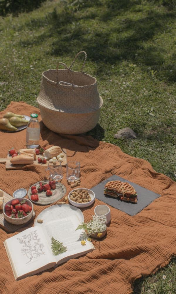 picnic proposal 