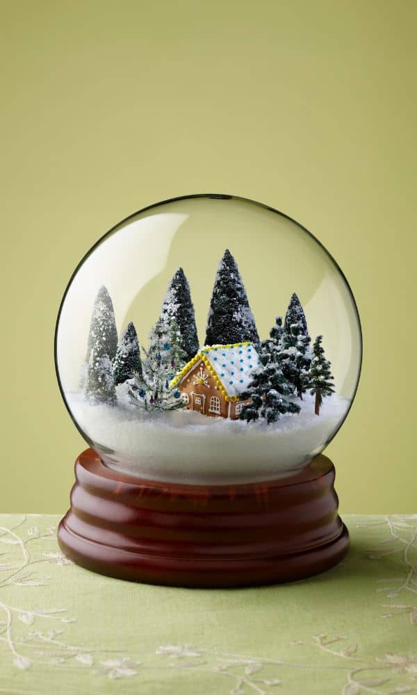 snowglobe
