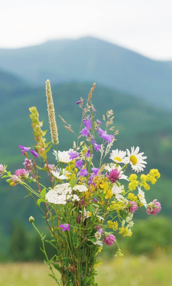 wildflower bouquet for rustic barn wedding 