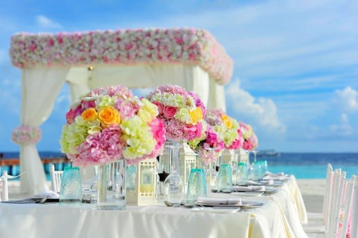 Rent quality equipment for your future wedding