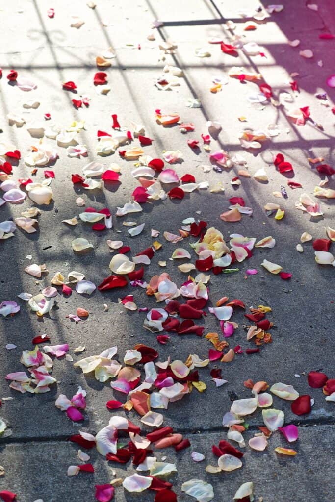 red rose confetti for wedding 