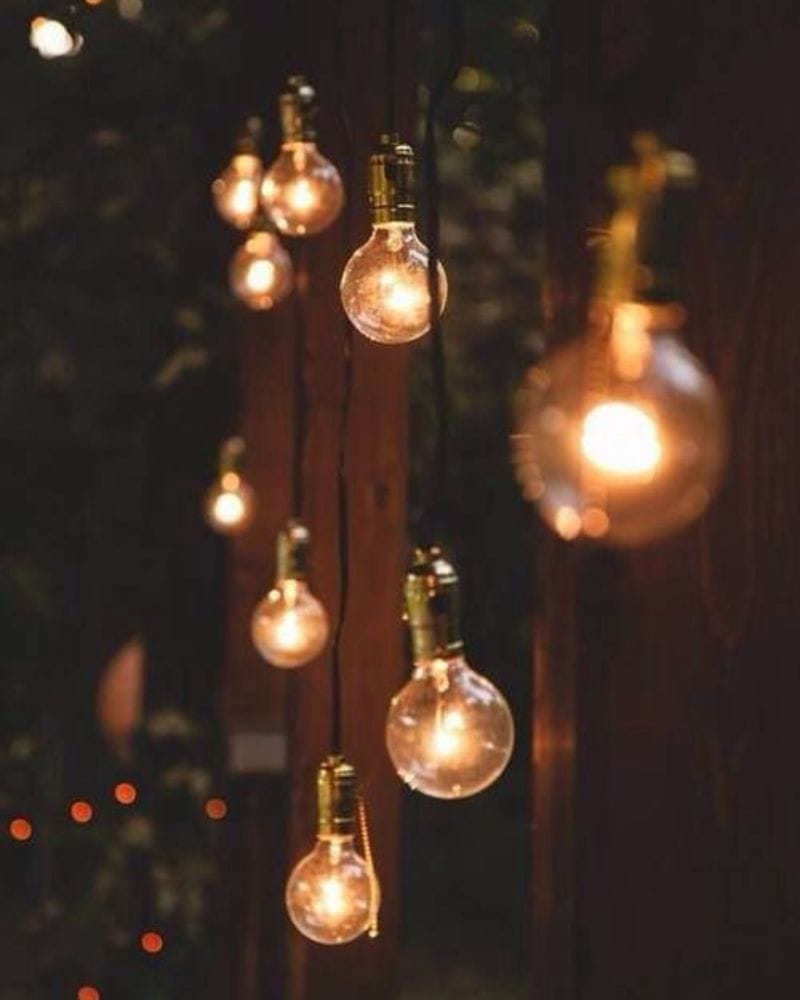 hanging bulb lights