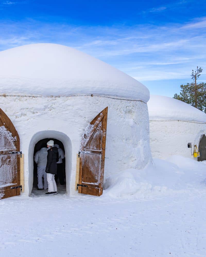 igloo winter proposal 