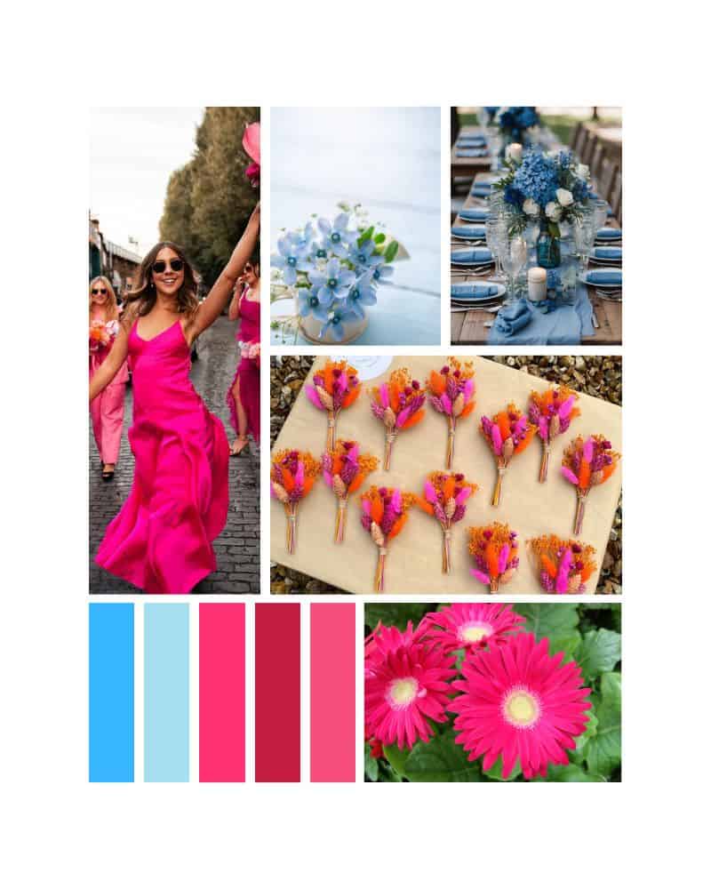 hot pink and electric blue color palette