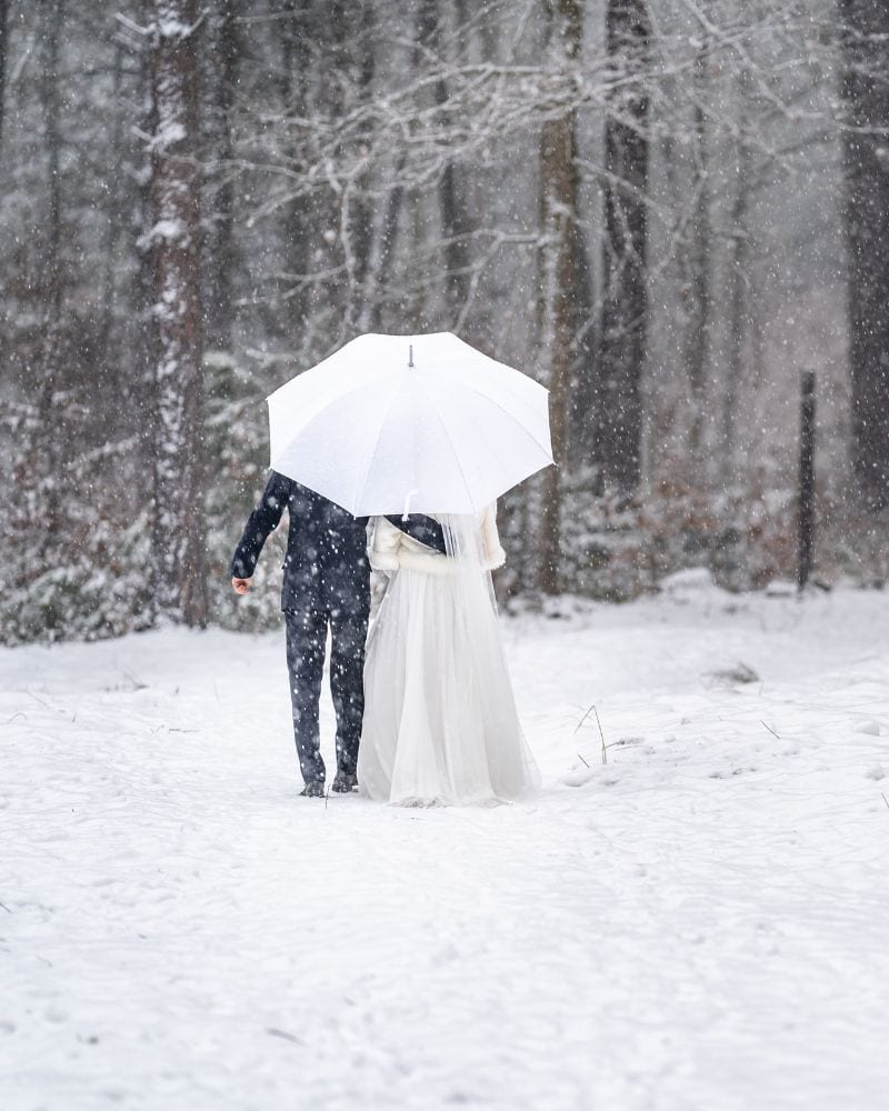 winter engagement 