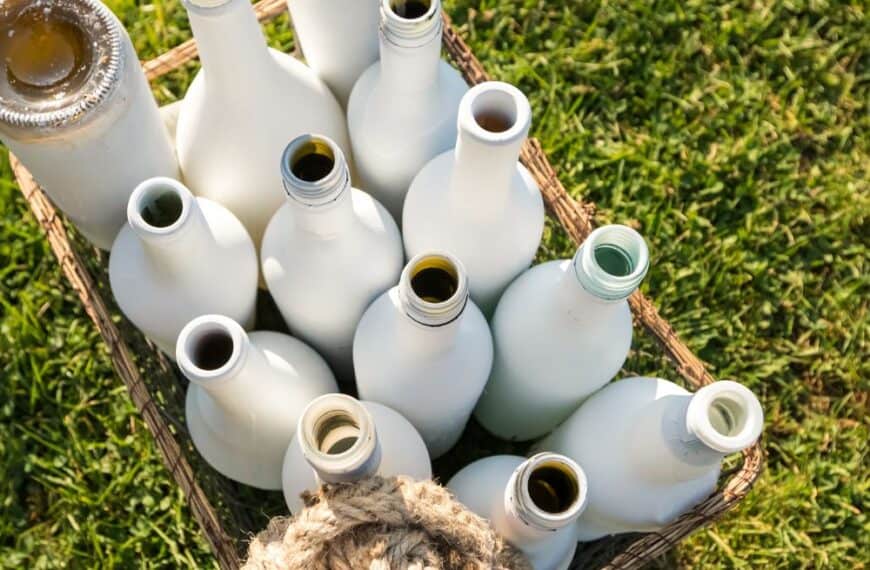 white painted bottles on grass with wooden ropes. For ring toss