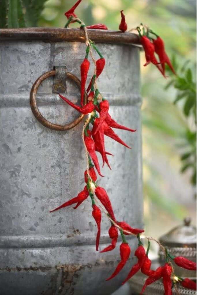 chilli pepper fairy lights