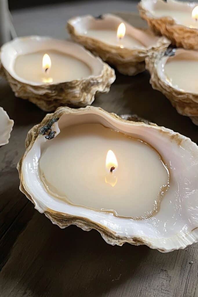 oyster shell candle 
