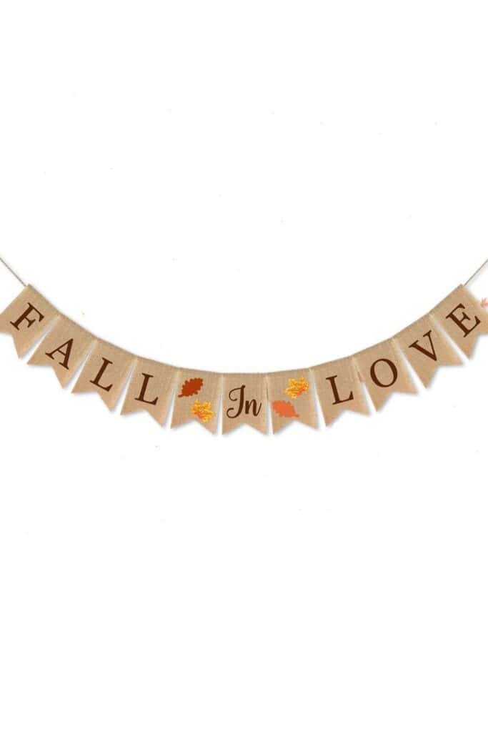 fall in love sign 